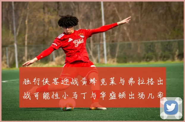 独行侠客迎战黄蜂克莱与弗拉格出战可能性小马丁与华盛顿出场几率高