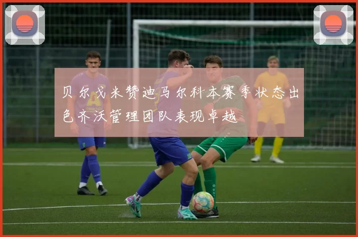 贝尔戈米赞迪马尔科本赛季状态出色齐沃管理团队表现卓越